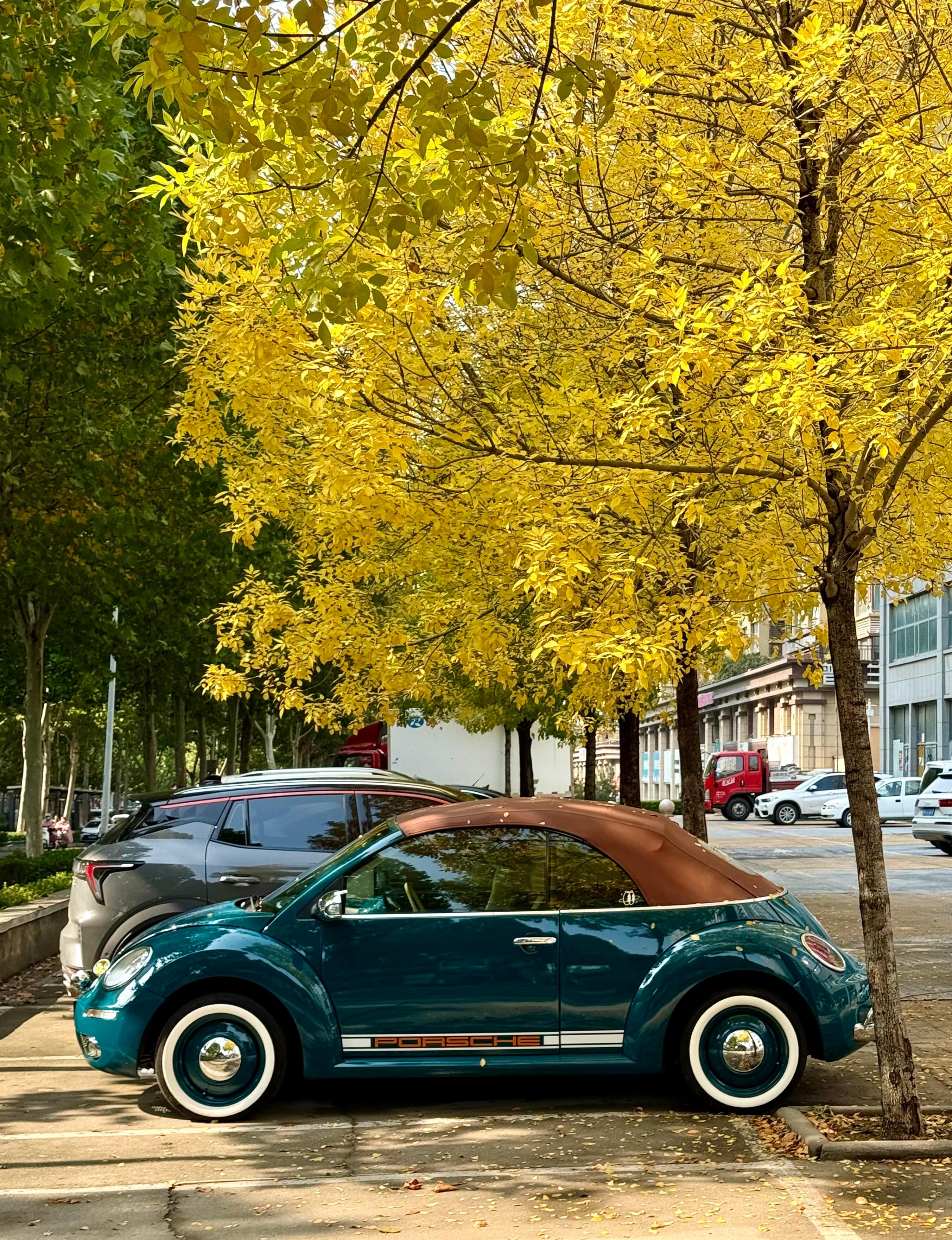 偶遇到了属于秋日的氛围感小车甲壳虫汽车画报​​​