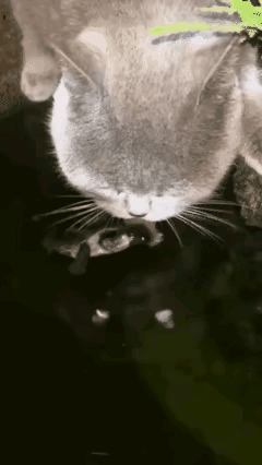 给你机会你不中用啊！