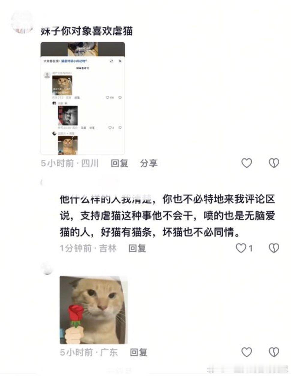 坏猫也不必同情那就活该被虐，如此般配的一对