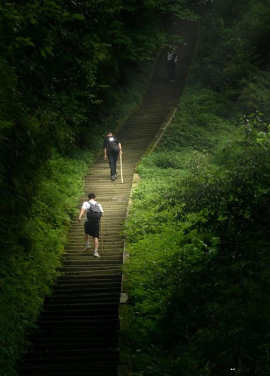 失业后，旺自己的3个习惯，养好了，钱会流向你。1、行动起来。暂时