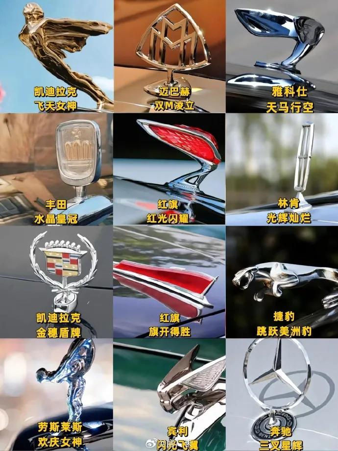 你认为哪个立标最丑呢？