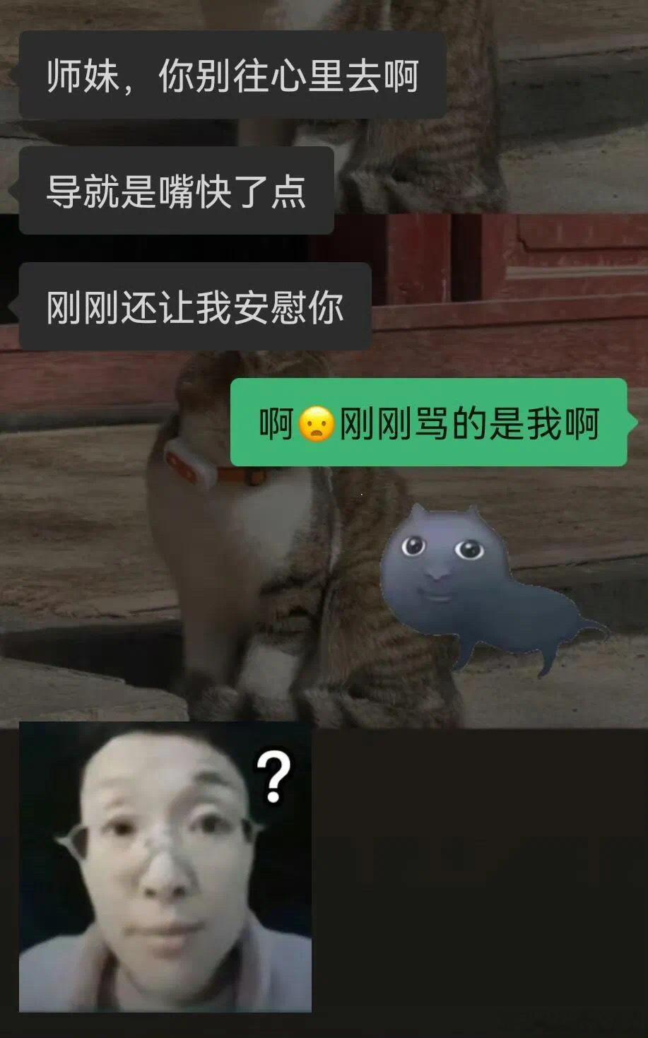当代年轻人的超绝钝感力内容过于真实​​​