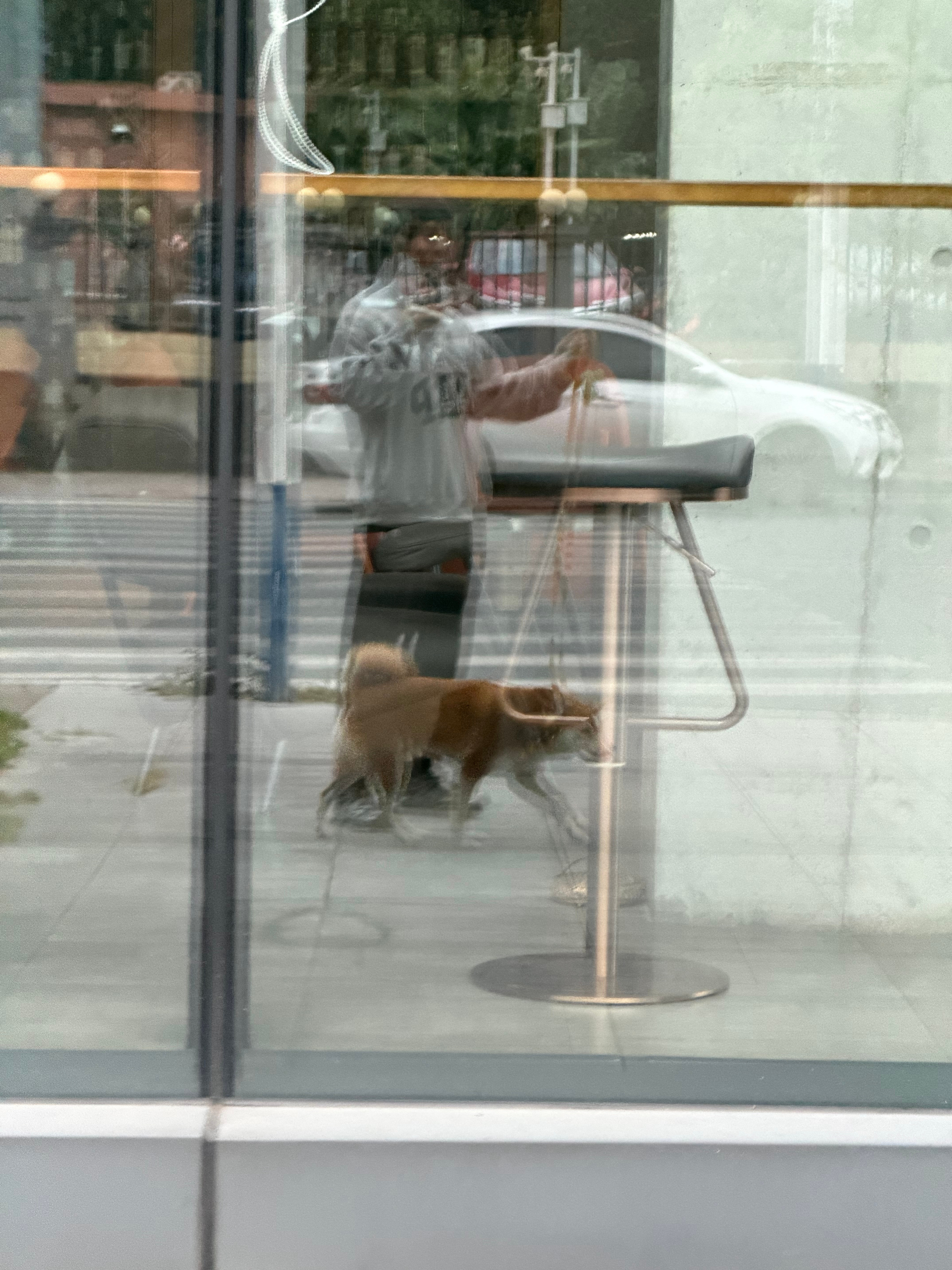 早起可以解决90%的问题，早睡可以解决100%