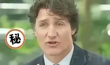 特鲁多刚卸任就“反咬”美国一口？对着镜头直接说：把加拿大逼着去求中国的，恰恰是我