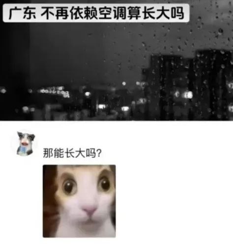 那是成熟了