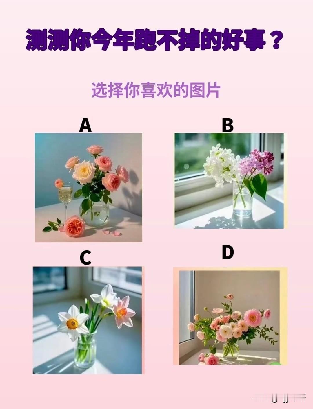 ?选择你喜欢的图片