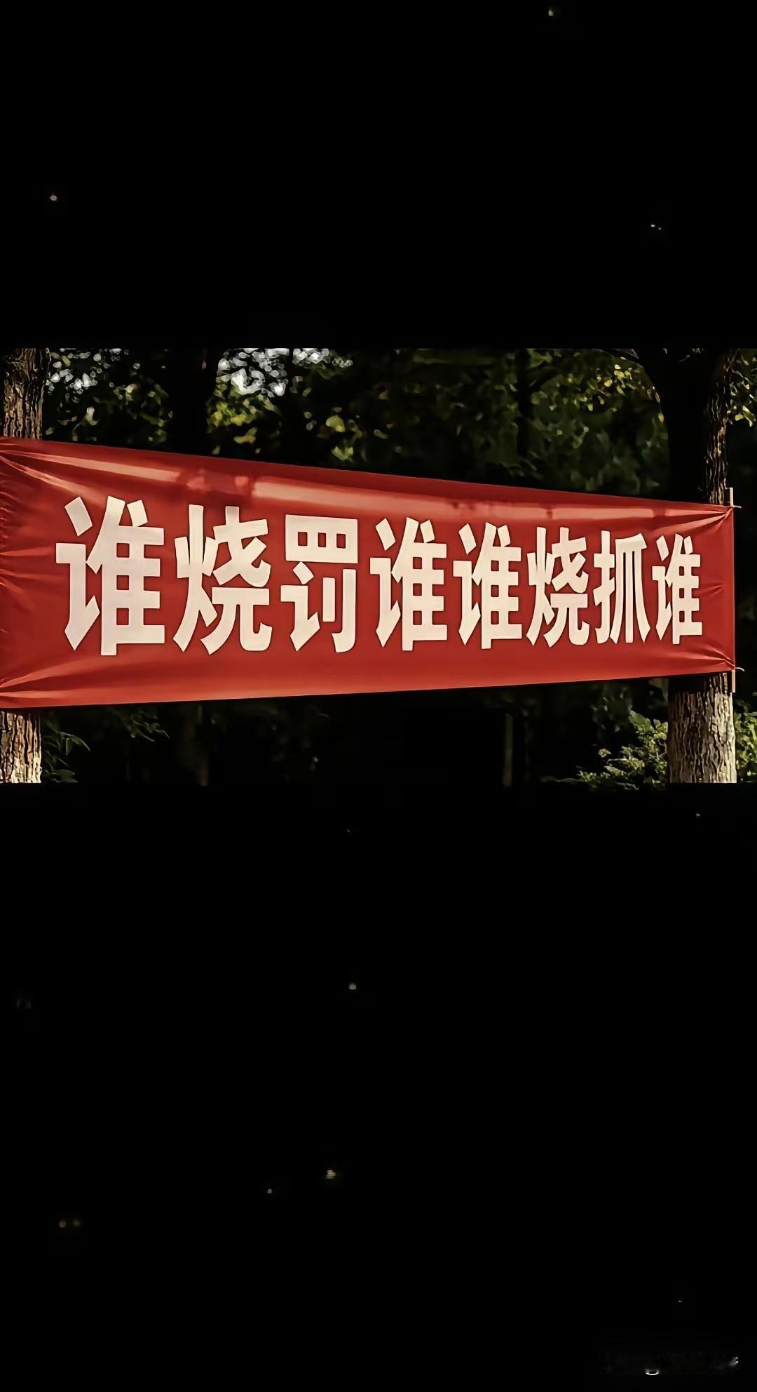 从左往右：谁烧罚谁，谁烧抓谁从右往左：谁抓烧谁，谁罚烧谁两种意思完全是南辕北