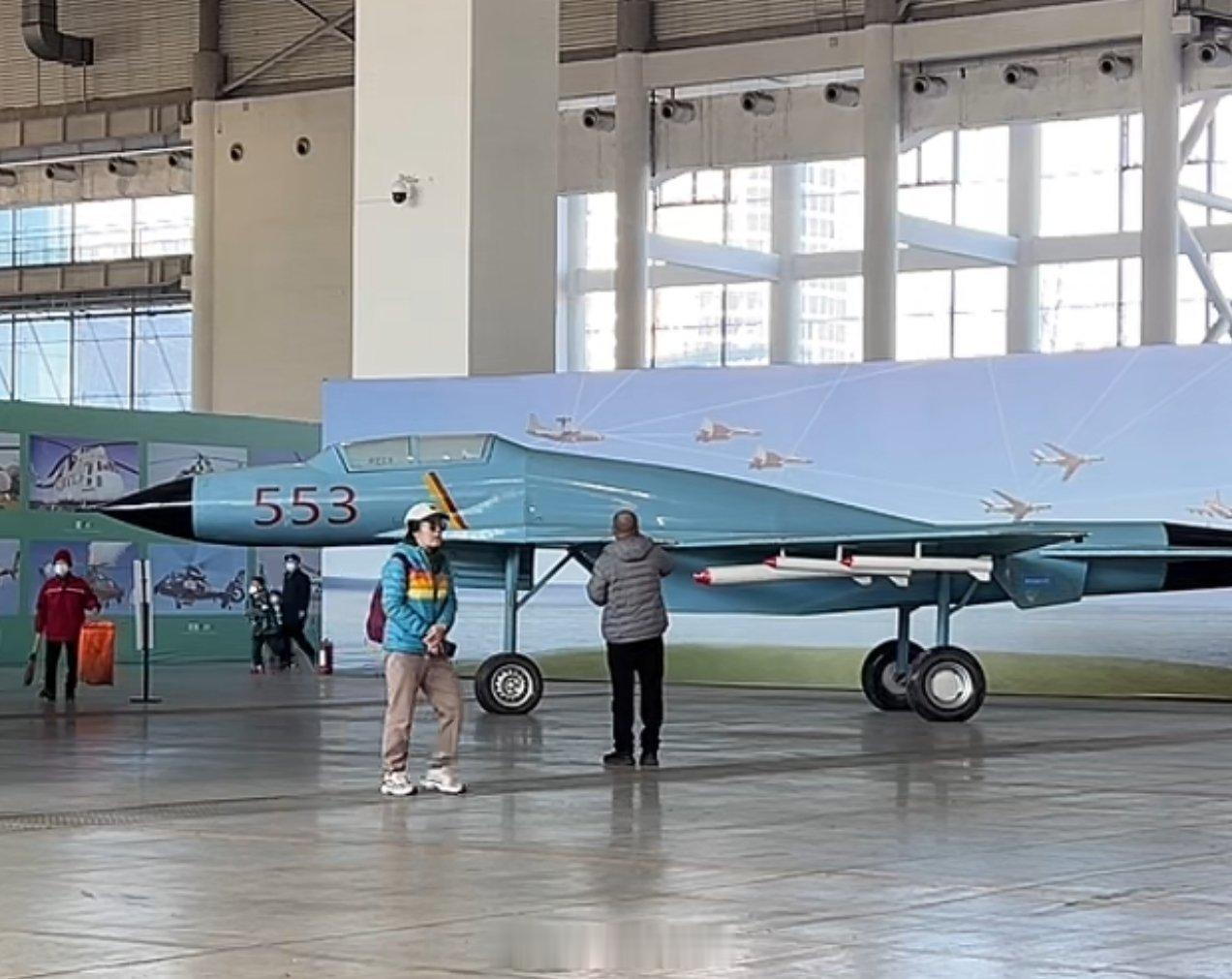 看见这个歼11绷不住了