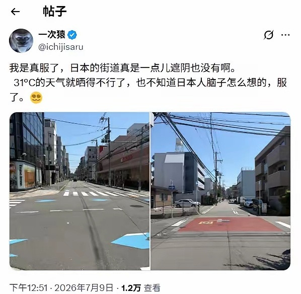 刷到在日华人吐槽日本街道几乎没有树荫，深以为然！东京、大阪、名古屋，街上确实很难