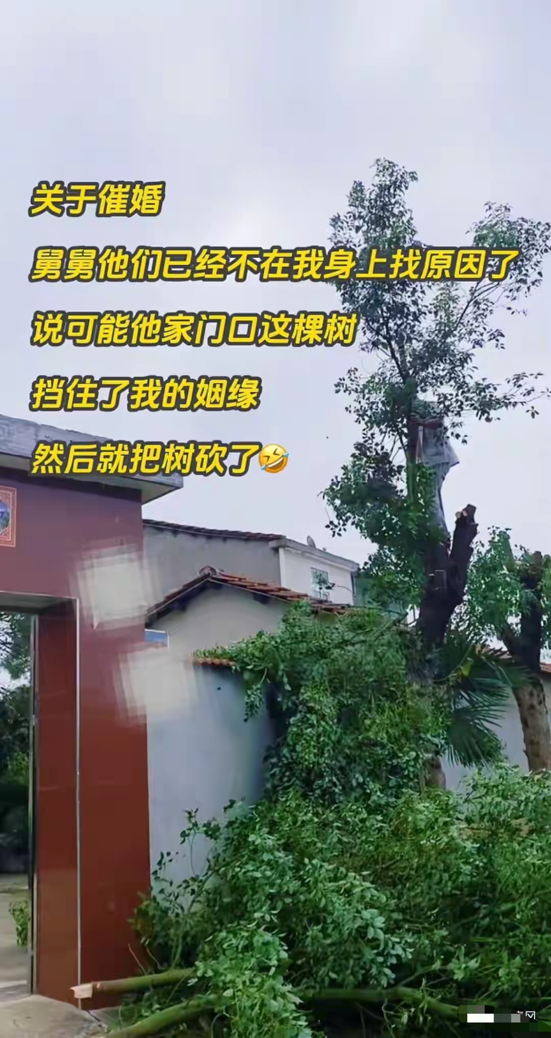 家里为了催婚都开始邪修了​​​