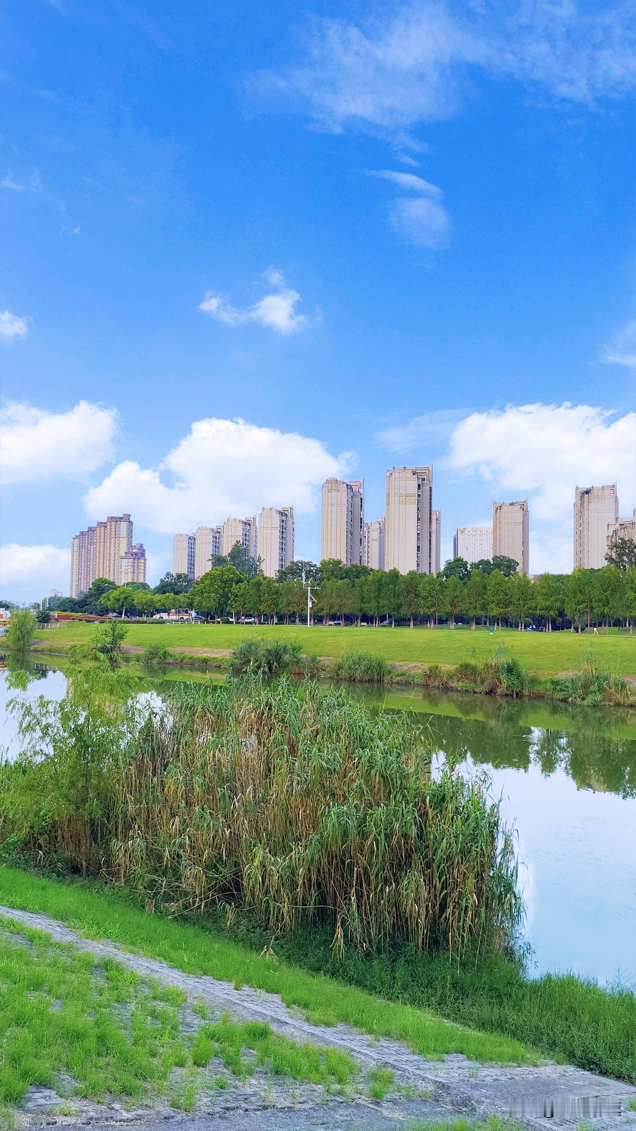 都说“一场秋雨一场寒”，可南京这次太反常。昨天下午一场雨，不但没降温，还升温了，