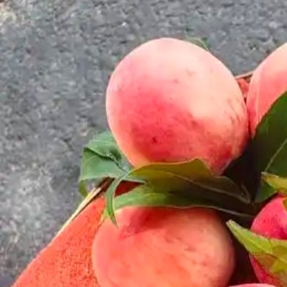 1200桃子🍑的种植方法生活手记1、土壤管理A.深翻改土。桃在秋冬季施基肥时
