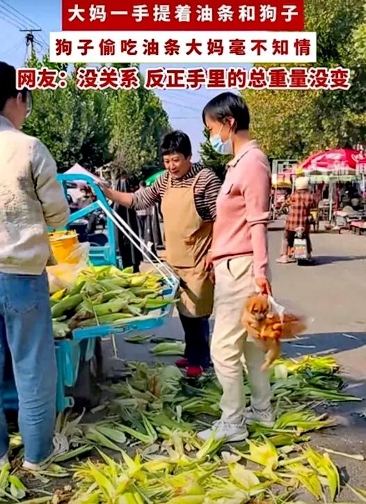 “笑死我了！”10月15日报道，山东，一大妈将小狗和油条单手提着，她在玉米摊前专