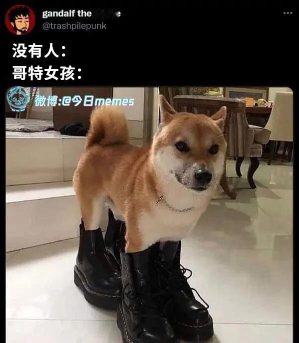 固定搭配（9gag）今日meme今日memes