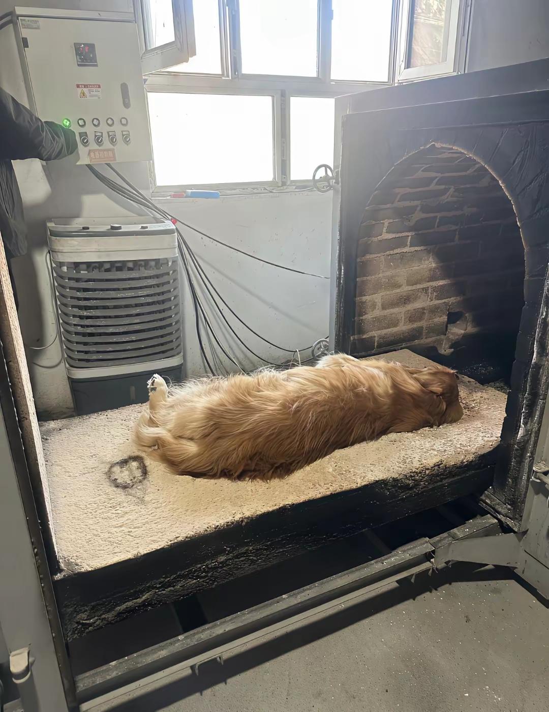 哎，人生来也匆匆，去也匆匆，最后不留下一丝痕迹。每天苦逼的人生，到底在图什么？