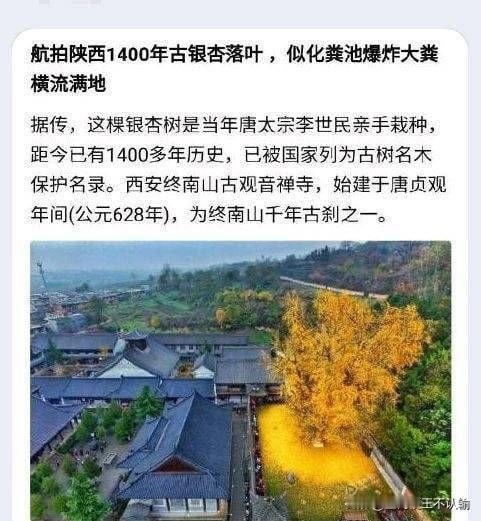 文化工作者一定要有文化！不会起标题可以不用起