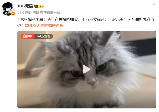 无畏开播好久不见呀~还是爱用财财咪当了首播的封面，wb开屏也是我们no飞噢[奶牛