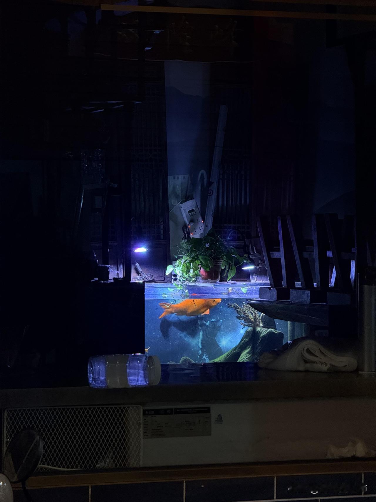 除夕的上午我妈我爸准备出门，我爸突然冒出来一句：“要不是因为开店忙，当年就应该