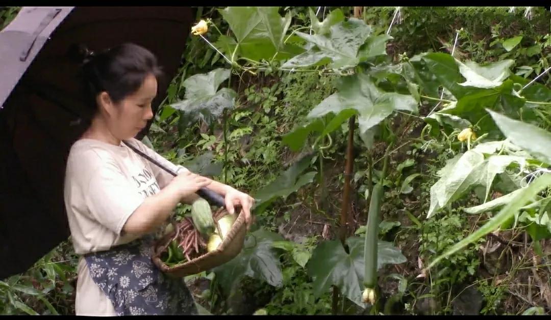 想来湖南隐居的朋友请慎重！后台收到很多私信，大多都是想来湖南找房隐居或养老的