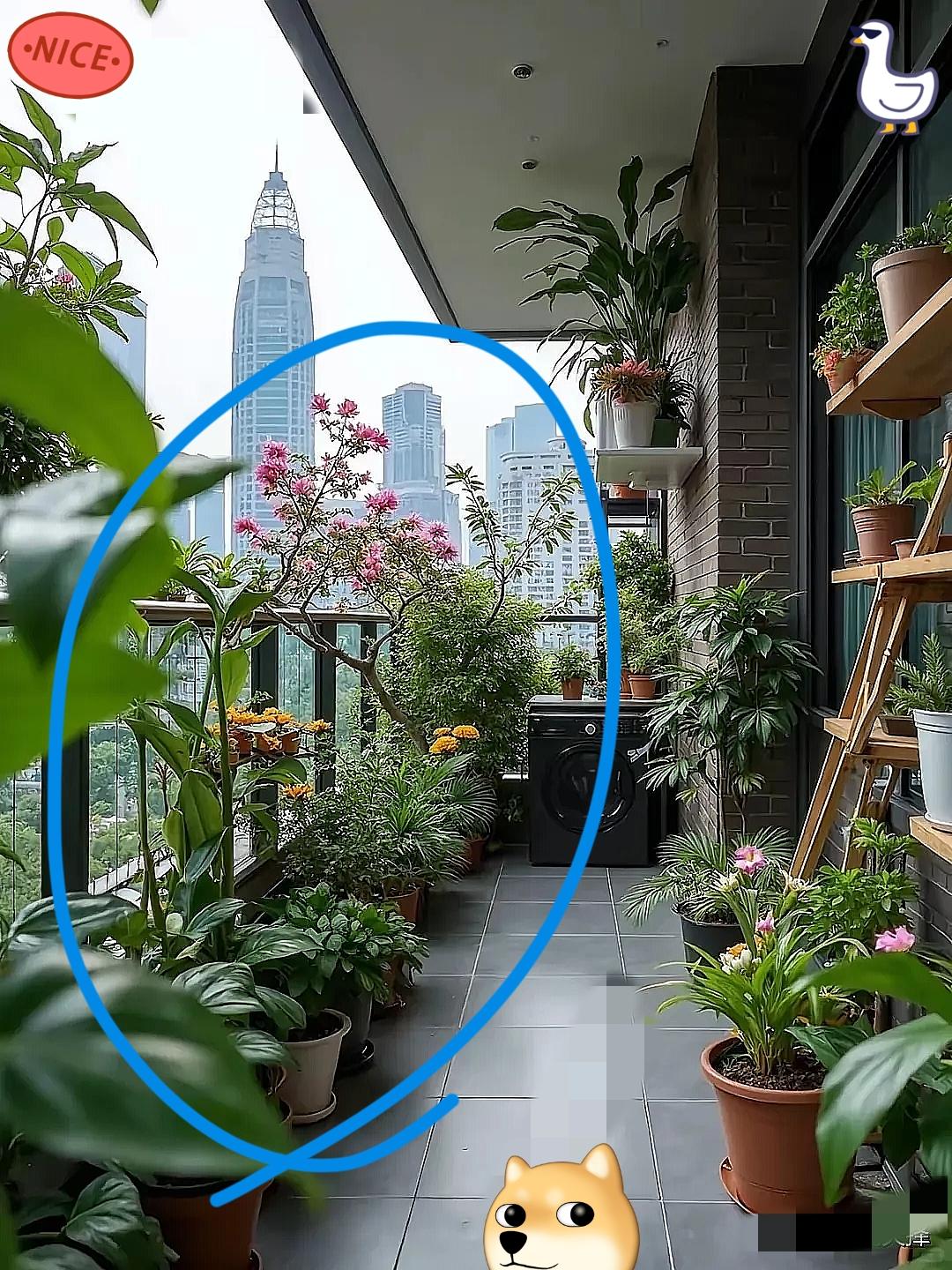 我发现，年轻时候干过繁重体力活的人，到了六十岁以后，大多数都是膝盖疼，特别是女