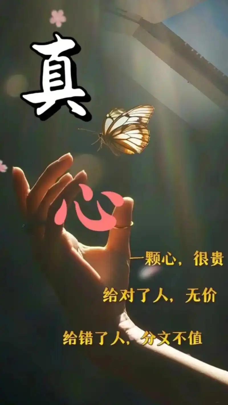 人与人之间，最珍贵的就这两个字真心缘分让你们相遇，但能走多远，全靠