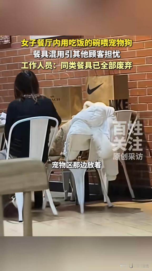 “顾客天塌了！”12月14日北京一女子吃饭时，发现邻桌的客人正用盘子给狗喂食，周
