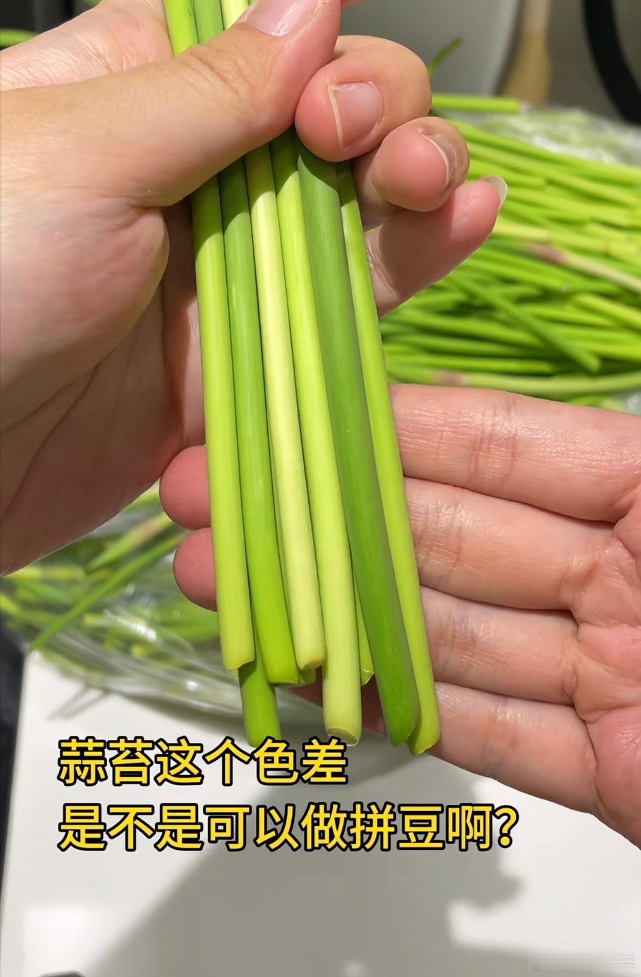 蒜苔拼豆天才啊，说行动就行动，拼的真不错，好看又好吃的样子