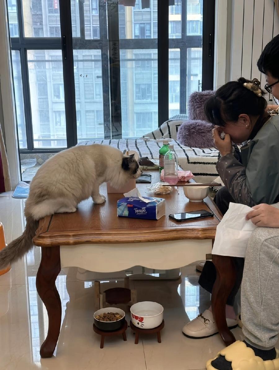 你能接受娶了自己儿子娶了媳妇忘了娘吗？我妈去邻居家串门，一进门发现邻居婶子在