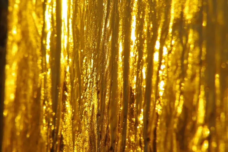 不用担心黄金涨到普通人买不起。假如黄金真的涨到普通人买不起了，大家就不会再去买