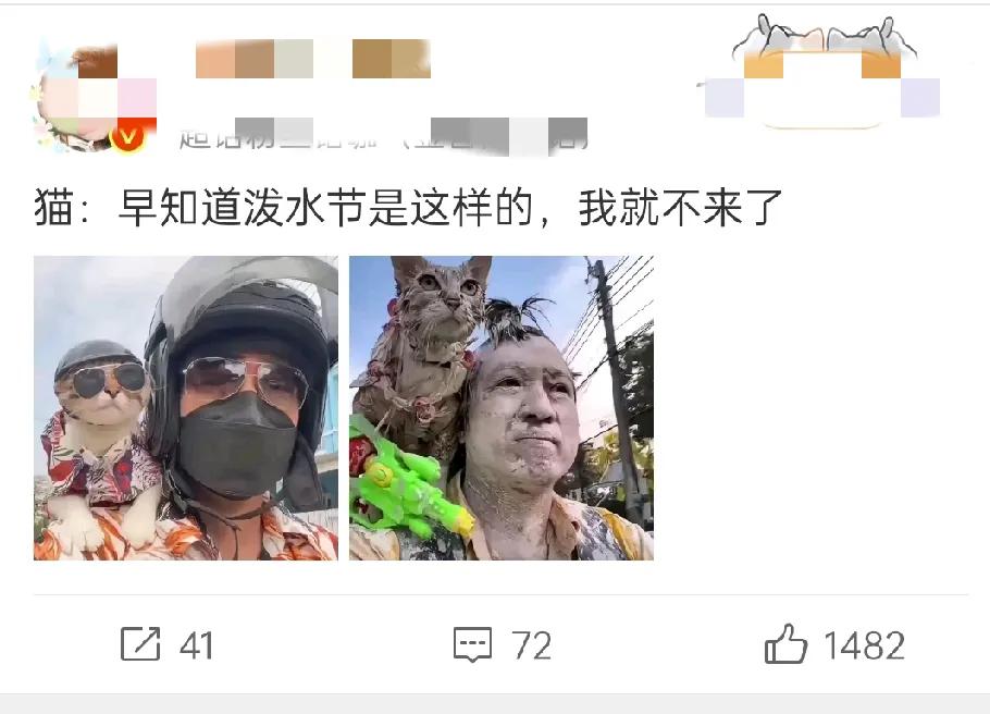 刚刷到一个搞笑图文，带猫去体验泼水节，这货直接从“酷盖”变“落汤鸡”。快来看这“