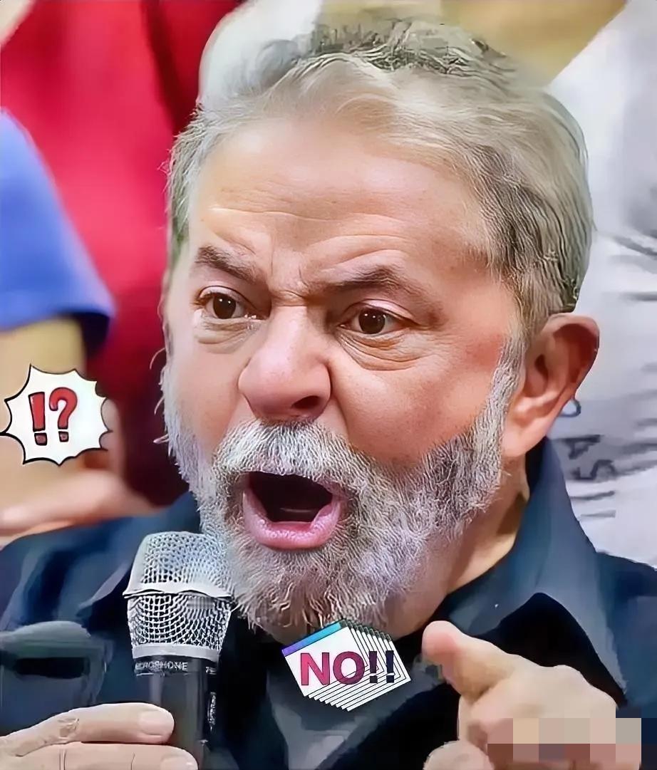 巴西对华消息！2025年12月3日，巴西外贸委员会正式宣布，取消对中国义乌华鼎