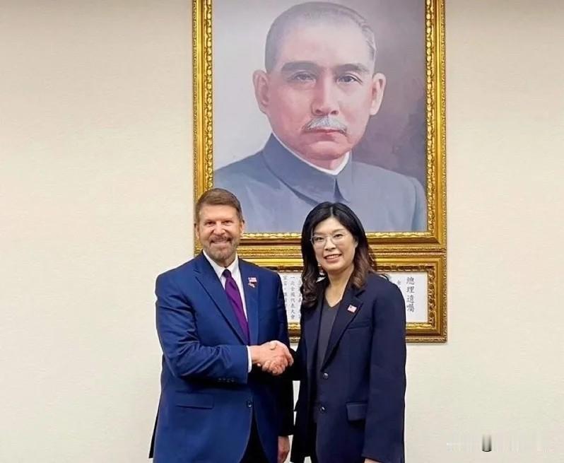 郑丽文接见美台商业协会主席国民党副主席萧旭岑今（28日）宣布2月2日将率团访