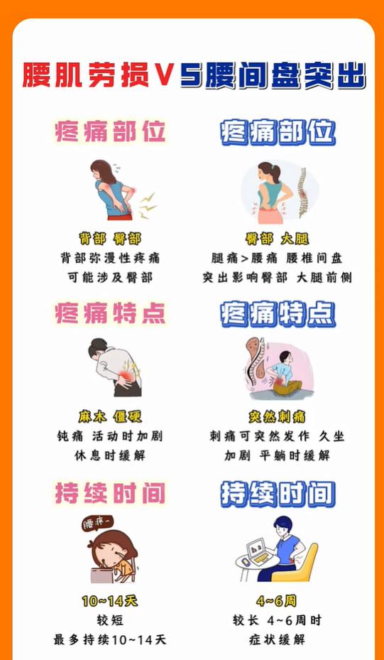 经常腰酸背痛？分清是腰肌劳损还是腰突