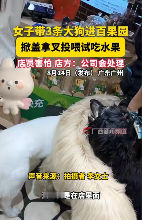 8月12日22点左右，广州天河百果园猎德花园店。一个女子牵着三条大狗走进水果