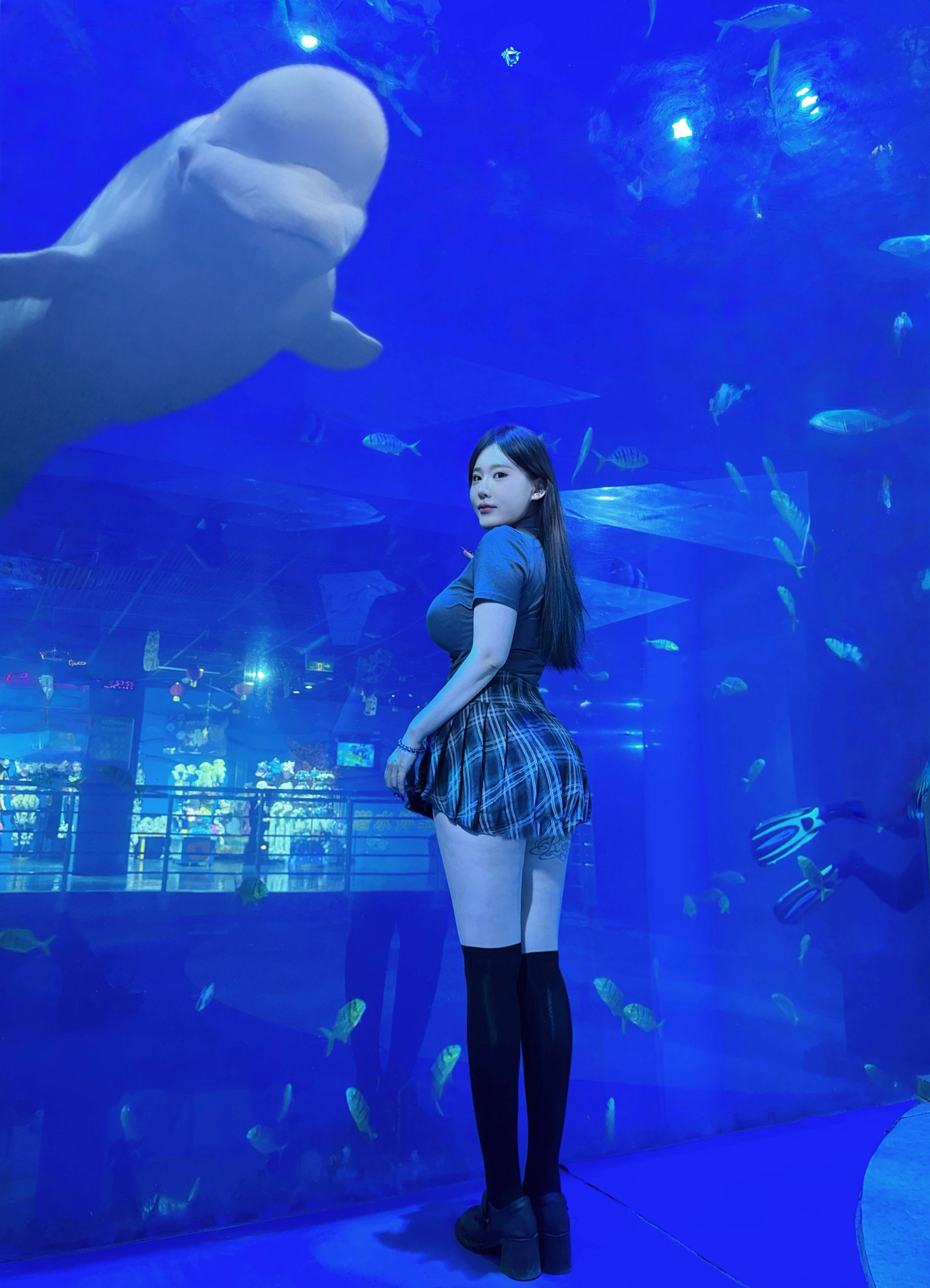 𓂃𓆡 𓈒𓏸Blue ～Blue 🪼🦈🐋​​​
