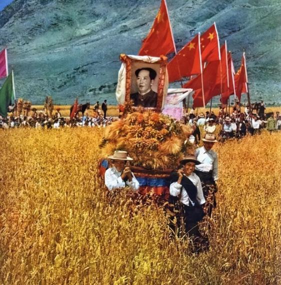 为什么西藏家家户户都挂毛主席的像那曲草原的九月已经飘起碎雪，牧民巴桑的黑色帐
