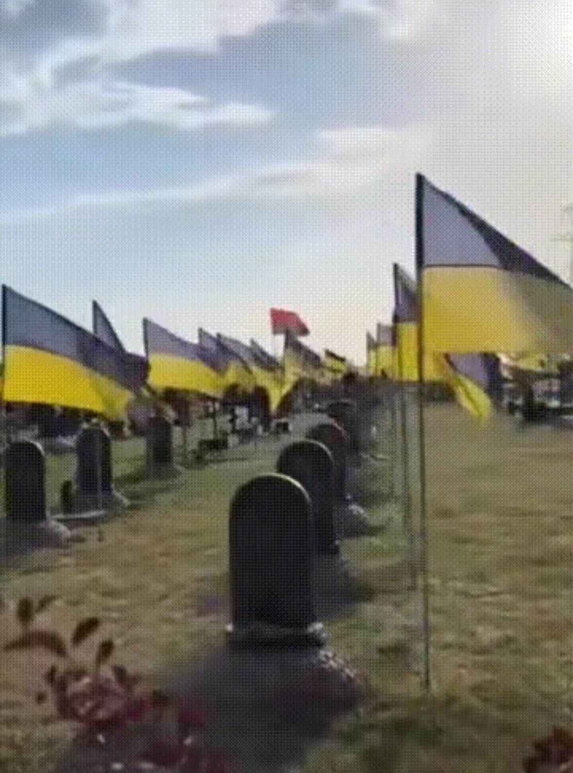 红军城的硝烟刚刚散去，清理队一铲一铲翻开废墟，一个令人心惊的数字浮出水面。在阵