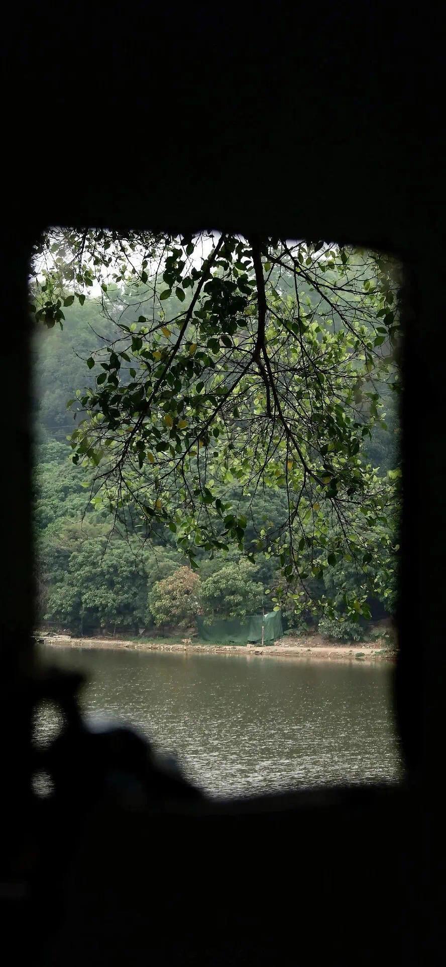 人生最快乐的事情，就是从容不迫地实现自己的理想。——竹已《折月亮》晚安推文​