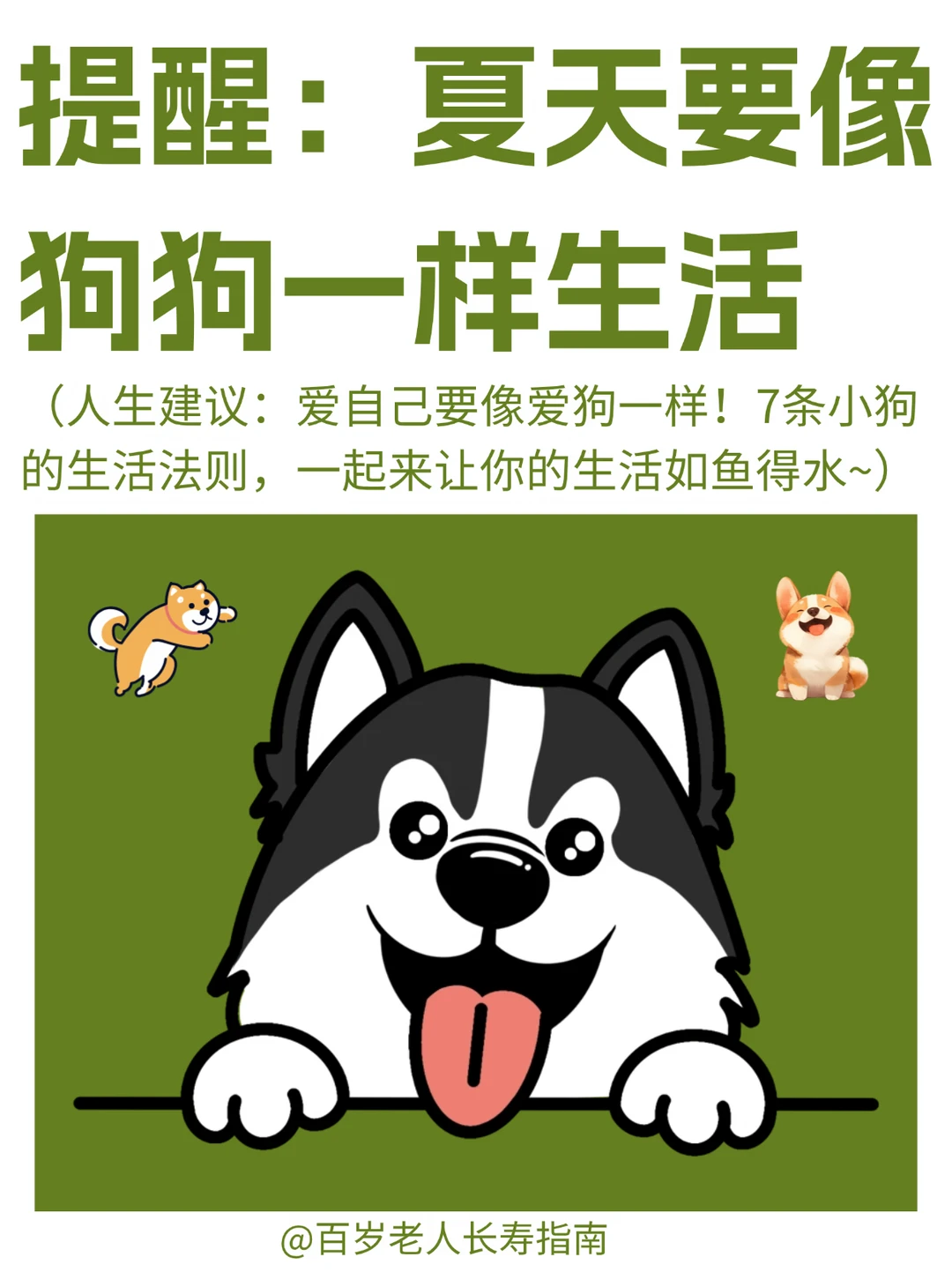 真心提醒：身弱之人，夏天要像狗狗一样生活