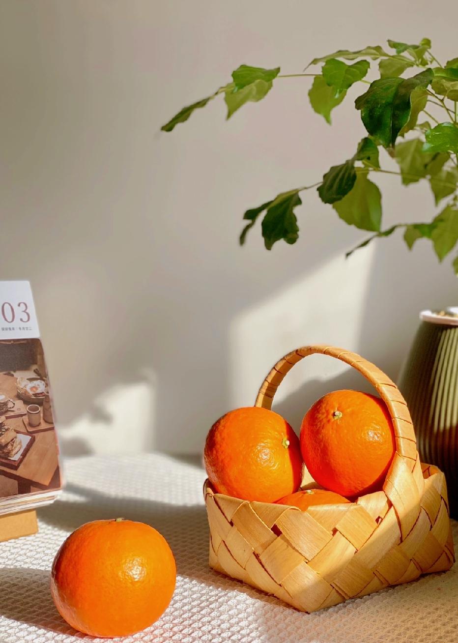 倪海厦说：“但凡遭遇过一次人生起落的人，都不会把房子、车子、票子、学历，甚至是身