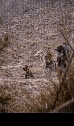 这是大概是真实《西游记》小说里的场景，影视剧应该都是被艺术加工过了的。西游记简