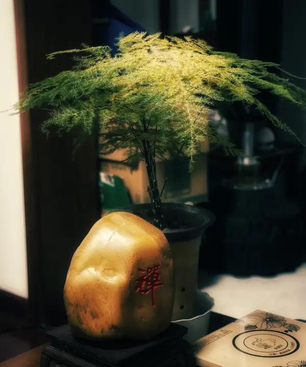 复旦才女陈果说的太实在：“如果你发现嫁错了人，还生了孩子，又想离婚，又放不下孩子