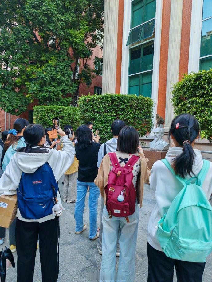 鹊就是这么被咪压扁的