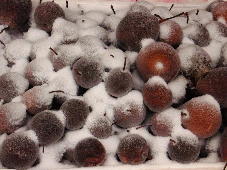 终于弄明白了冻梨和普通梨有什么区别。不是梨的品种变了，也不是东北人培育的新品种