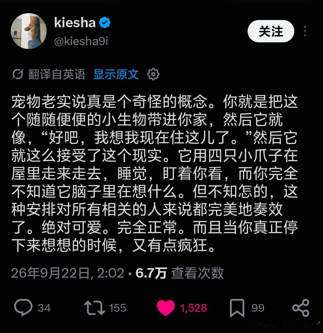 宠物真是个奇怪的概念​​​