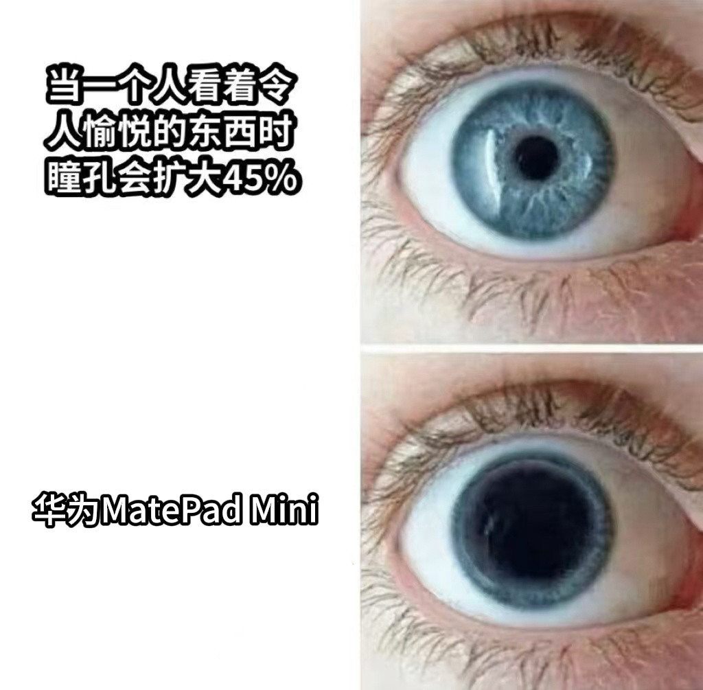 华为MatePadMini来了华为这波操作简直是“人菜瘾大”的小平板爱好者救星