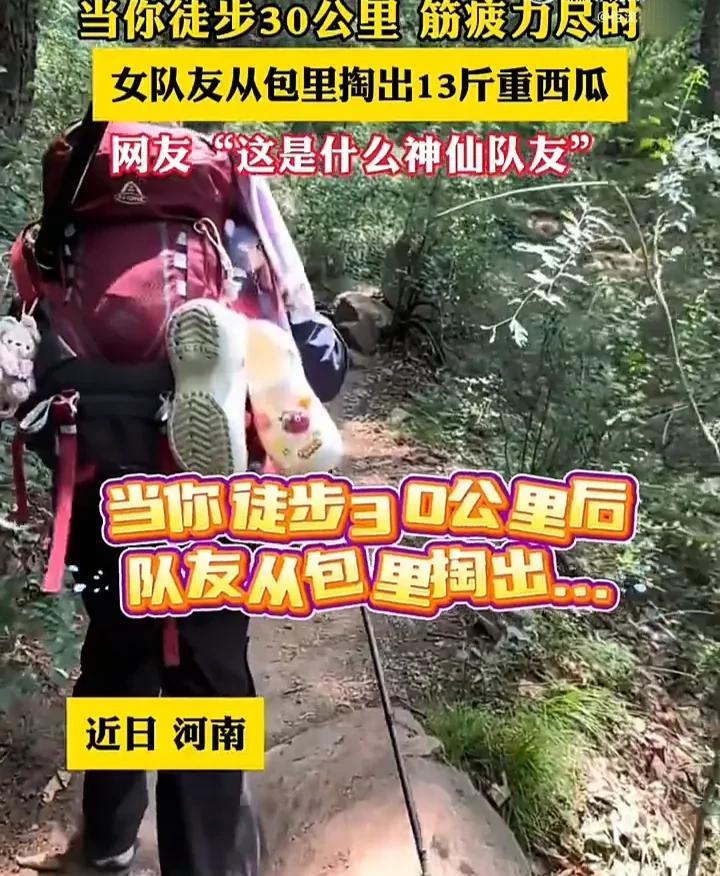 这样的友情太让人羡慕了！近日，河南一群户外运动爱好者组团去爬山，当他们徒步走完3