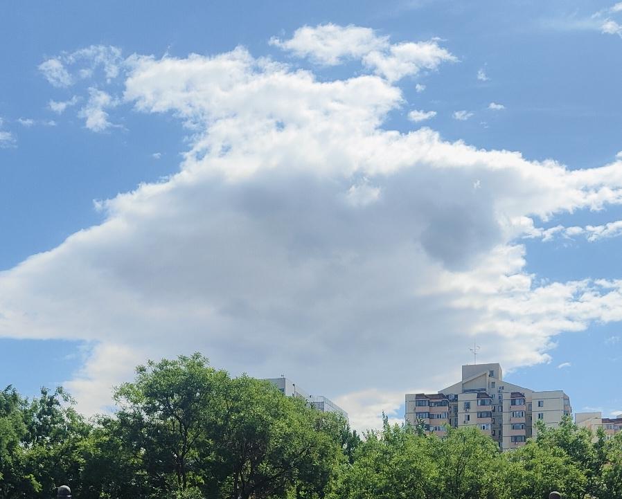 在农村只要一个家庭的人都不懒惰，一家子一年挣个十几万还是没问题的。比如说一家三口