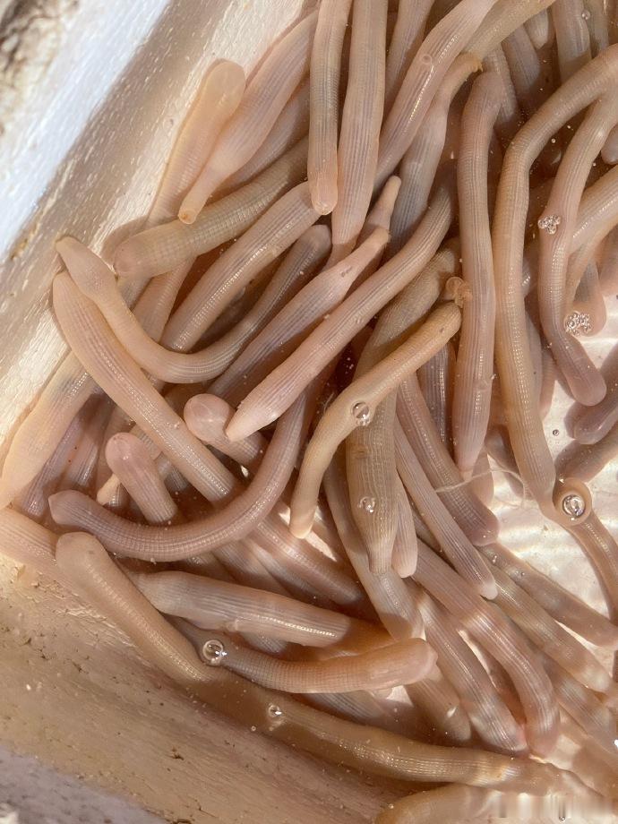 厦门八市，闹市区的美食天堂～厦门生活