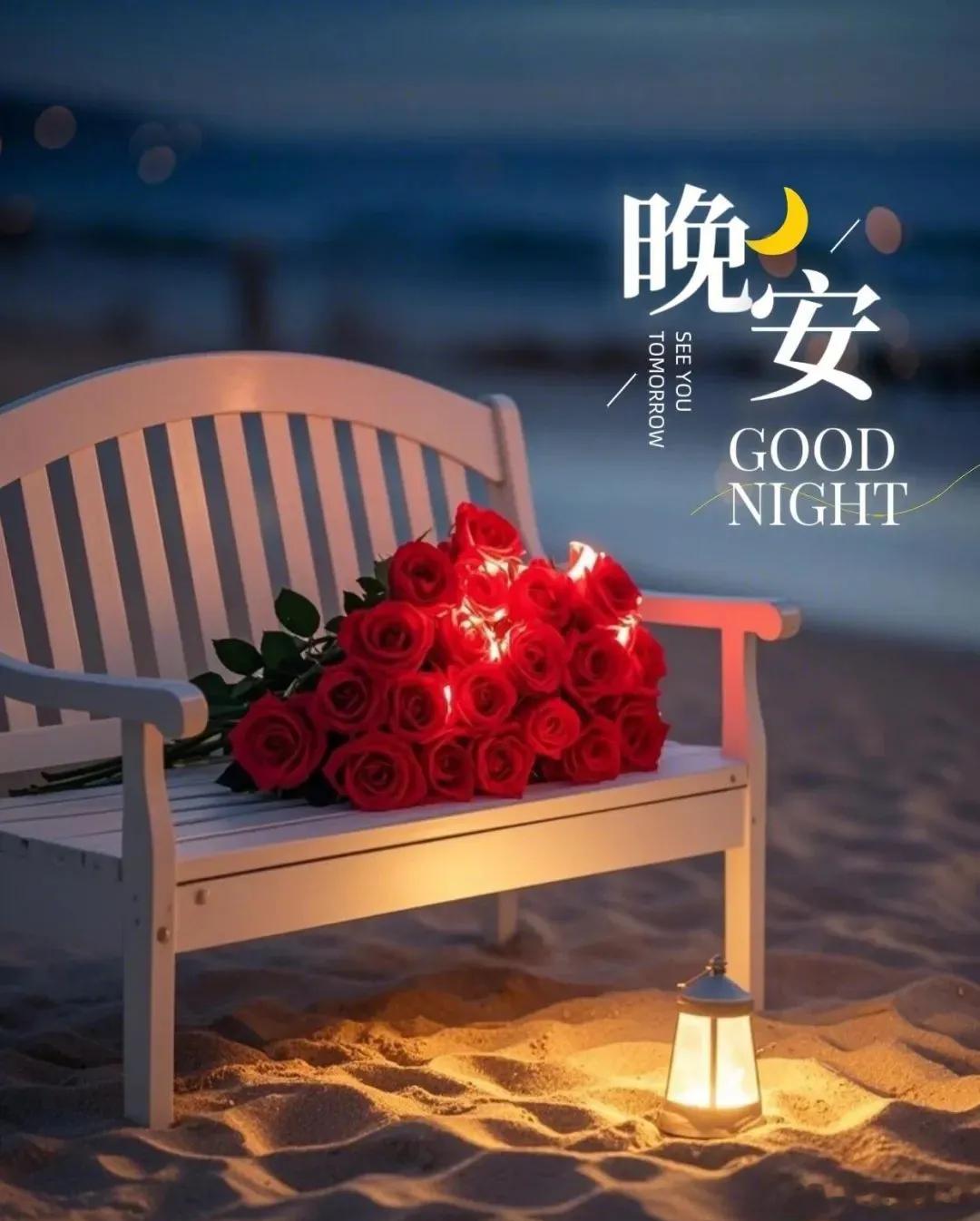 晚安🌛[玫瑰]​​​